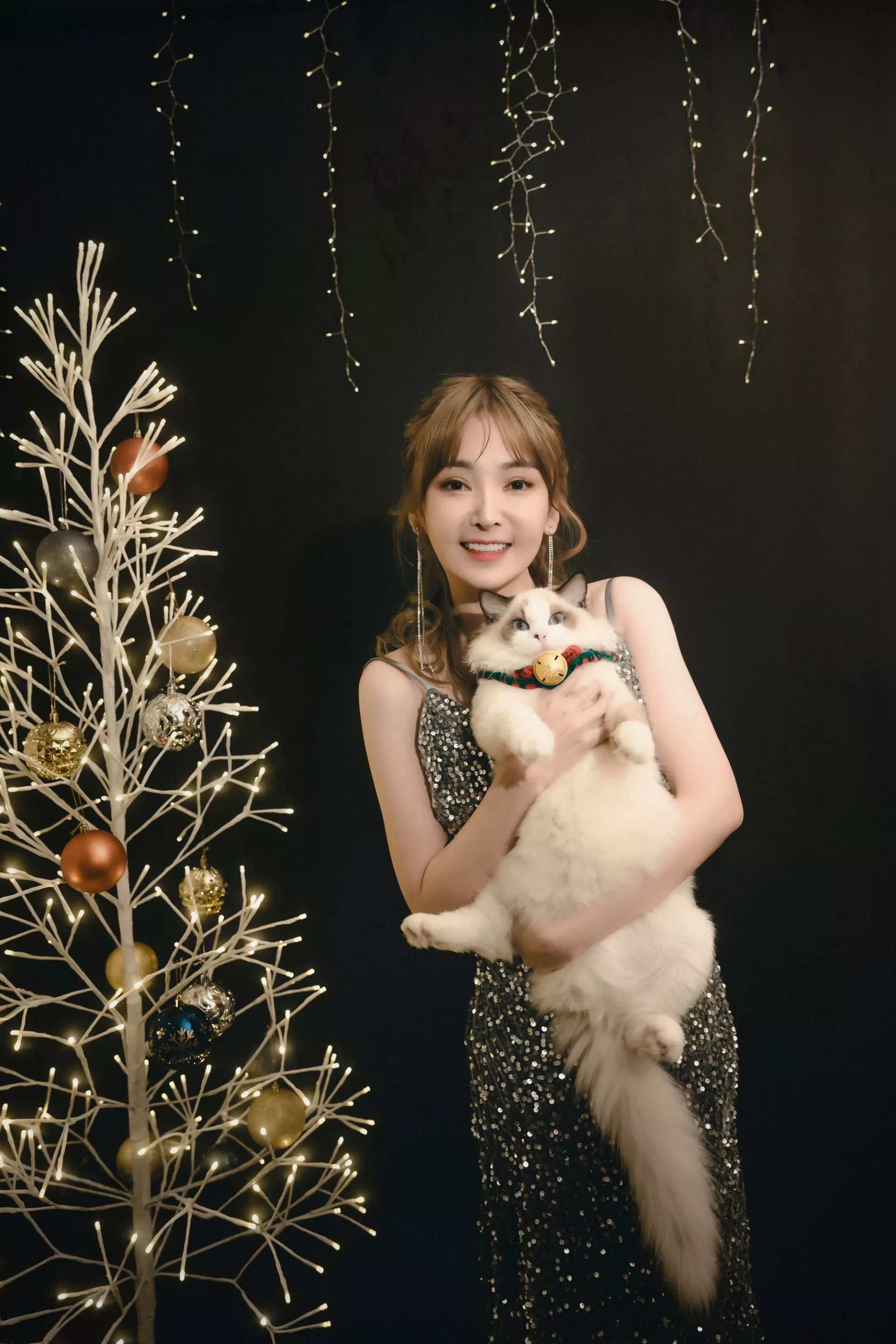 陳子玄聖誕節寫真婚紗照wedding21韓式婚紗9寵物布偶貓-陳子玄-聖誕寫真